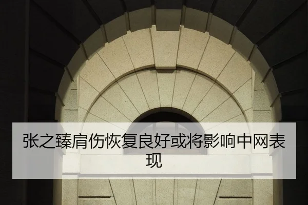 张之臻肩伤恢复良好或将影响中网表现