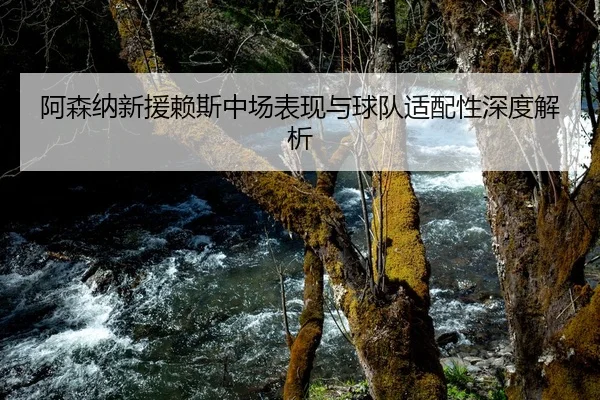 阿森纳新援赖斯中场表现与球队适配性深度解析